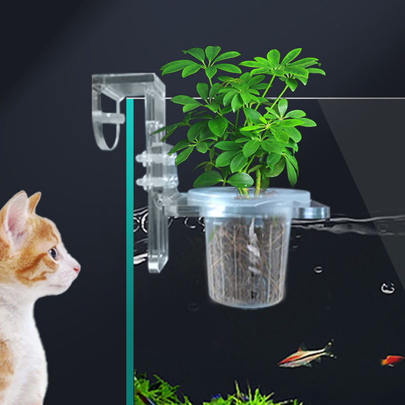 Fish Tank Planting Cups Hydrop - Woven Wall Basket ulasan dan harga
