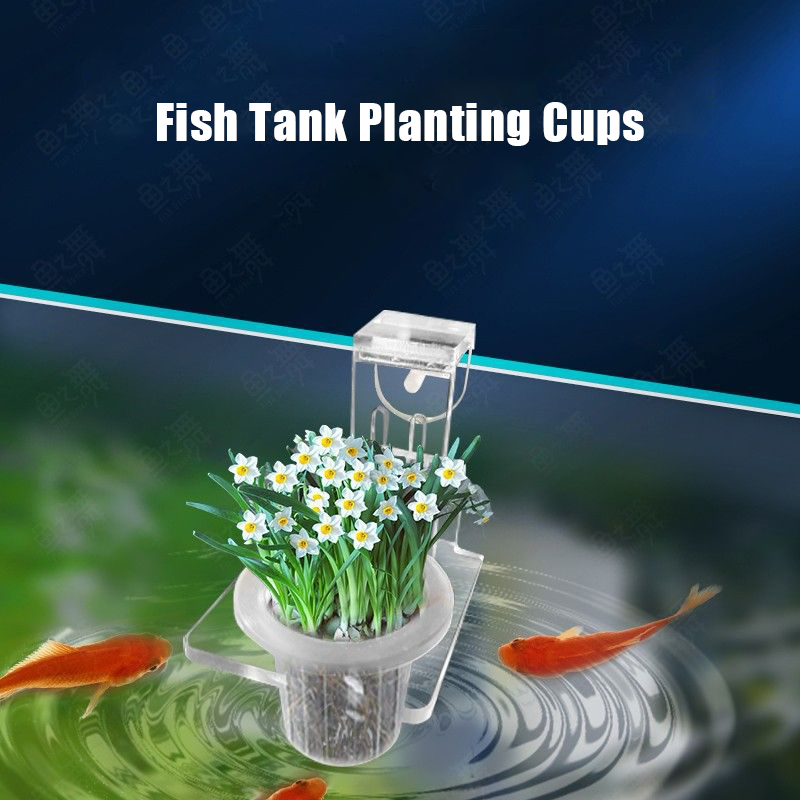 Fish Tank Planting Cups Hydrop - Woven Wall Basket ulasan dan harga