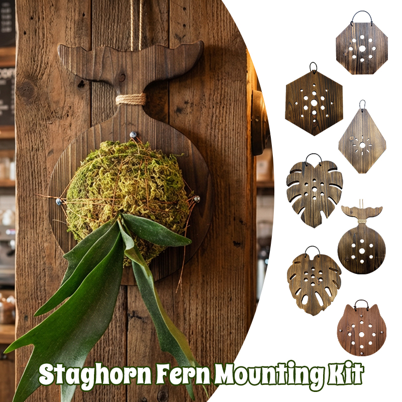 New Wooden Staghorn Fern Wall  - Woven Wall Basket ulasan dan harga