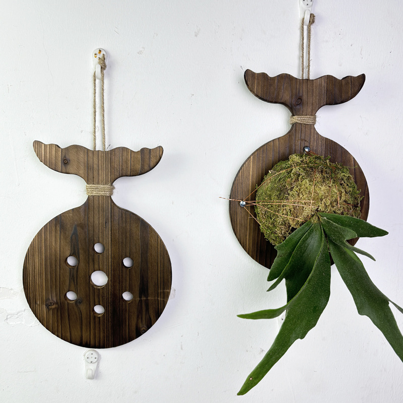 New Wooden Staghorn Fern Wall  - Woven Wall Basket ulasan dan harga