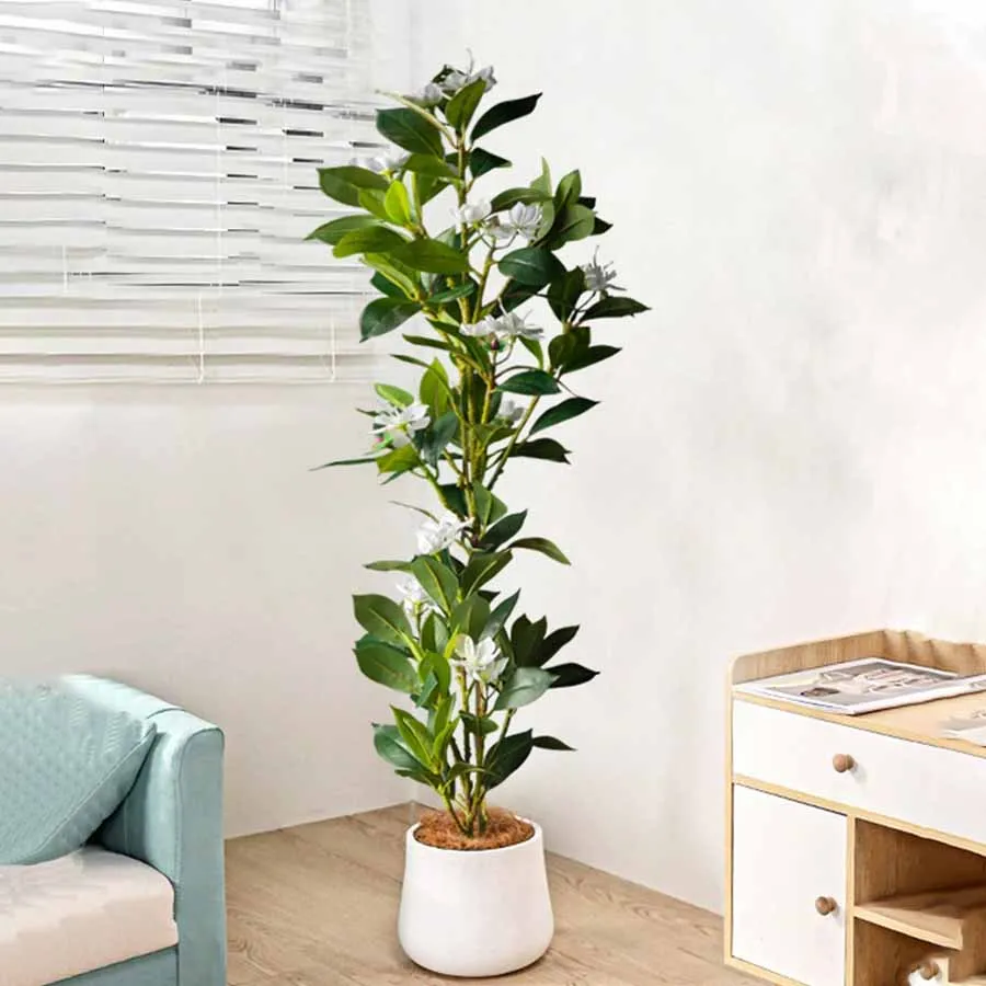 80/120cm Tropical Artificial F - Home Decor Exhibition ulasan dan harga